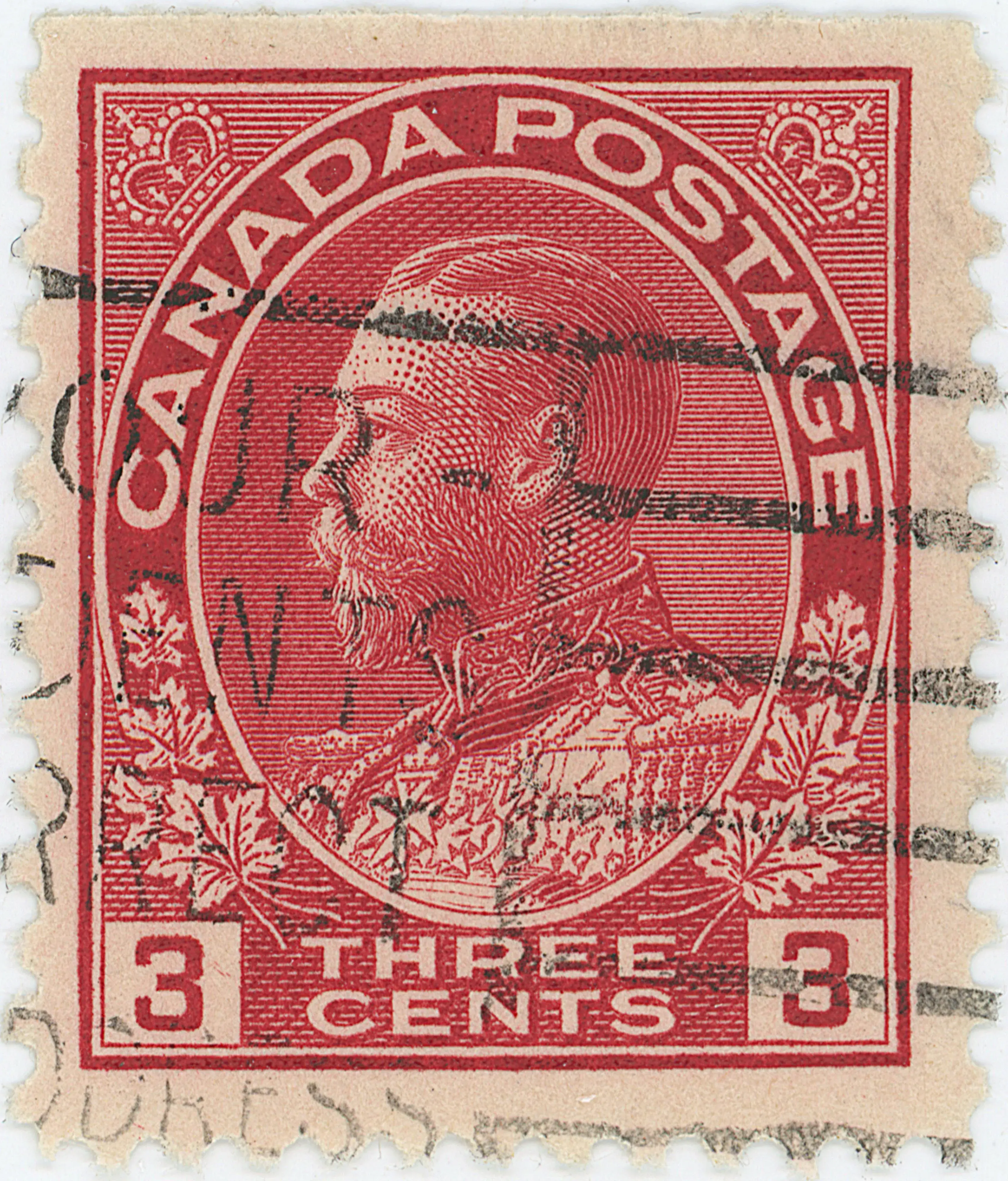 3¢C TLD 4a b.webp